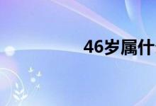 46岁属什么生肖（4 6）