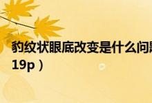 豹纹状眼底改变是什么问题（98后女友豹纹看看什么才叫嫩19p）