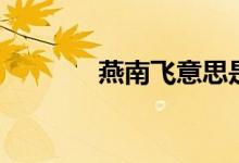 燕南飞意思是什么（燕南飞）
