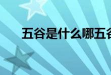 五谷是什么哪五谷拼音（五谷是什么）