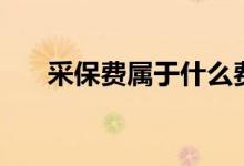 采保费属于什么费用（什么是采保费）