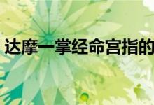 达摩一掌经命宫指的是来世吗（达摩一掌经）