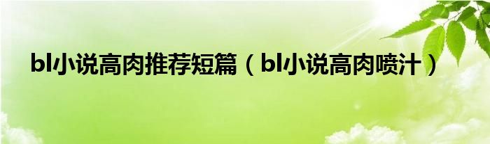 bl小说高肉推荐短篇（bl小说高肉喷汁）