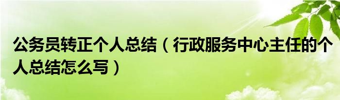 公务员转正个人总结（行政服务中心主任的个人总结怎么写）