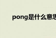 pong是什么意思（png是什么意思）