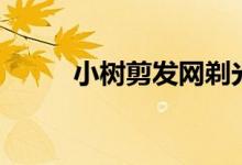 小树剪发网剃光头（小树剪发网）