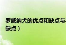 罗威纳犬的优点和缺点与马犬相比谁好（罗威纳犬的优点和缺点）