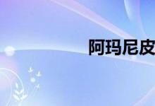 阿玛尼皮带（amani）