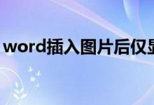 word插入图片后仅显示一小条（word插入）
