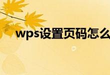wps设置页码怎么设置(wps设置页码)