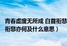 青春虚度无所成 白首衔悲亦何及理解（青春虚度无所成白首衔悲亦何及什么意思）