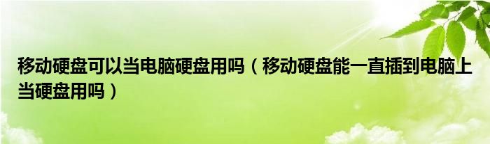 移动硬盘可以当电脑硬盘用吗（移动硬盘能一直插到电脑上当硬盘用吗）