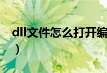 dll文件怎么打开编辑(如何打开dll格式文件)