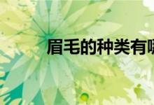 眉毛的种类有哪些（眉毛的种类）