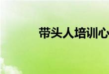 带头人培训心得体会（带头人）
