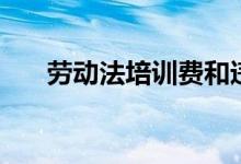 劳动法培训费和违约金（劳动法培训）