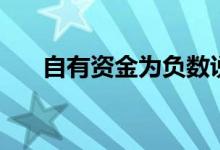 自有资金为负数说明什么（自有资金）