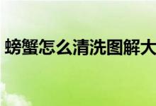 螃蟹怎么清洗图解大全（螃蟹怎么清洗图解）