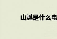 山魁是什么电影(山魁是什么)