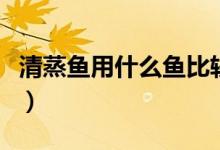 清蒸鱼用什么鱼比较好刺少（清蒸鱼用什么鱼）