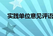 实践单位意见评语简短（实践单位意见）
