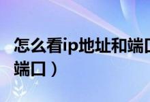 怎么看ip地址和端口是多少（怎么看ip地址和端口）
