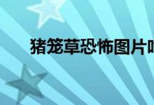 猪笼草恐怖图片吃人（捕蝇草的资料）