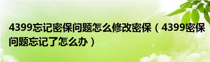 4399忘记密保问题怎么修改密保（4399密保问题忘记了怎么办）