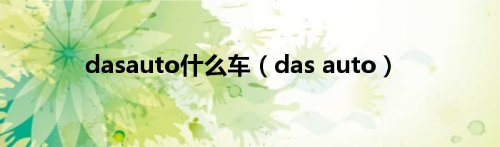 dasauto什么车（das auto）