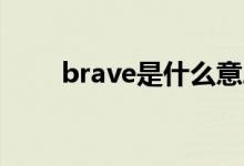 brave是什么意思（br是什么意思）