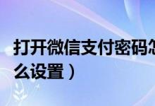 打开微信支付密码怎么设置（微信支付密码怎么设置）