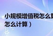 小规模增值税怎么算举例说明（小规模增值税怎么计算）