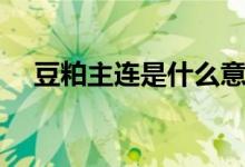 豆粕主连是什么意思（主连是什么意思）