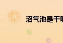 沼气池是干嘛用的（沼气池）
