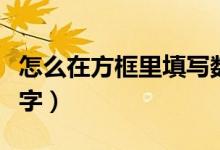 怎么在方框里填写数字（如何在方框中填写数字）