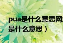 pua是什么意思网络用语（请问网络用语YY是什么意思）