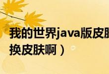 我的世界java版皮肤下载网站（我的世界怎么换皮肤啊）