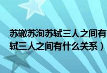 苏辙苏洵苏轼三人之间有什么关系 三人简介（苏辙 苏洵 苏轼三人之间有什么关系）