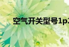 空气开关型号1p2p3（空气开关型号）