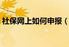 社保网上如何申报（社保网上申报详细流程）