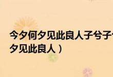 今夕何夕见此良人子兮子兮如此良人何是什么意思（今夕何夕见此良人）