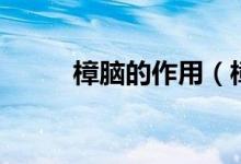 樟脑的作用（樟脑丸的主要成分）