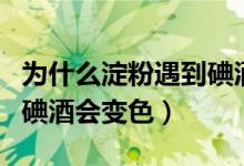 为什么淀粉遇到碘酒会变蓝（为什么淀粉碰到碘酒会变色）