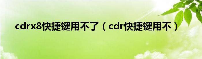cdrx8快捷键用不了（cdr快捷键用不）