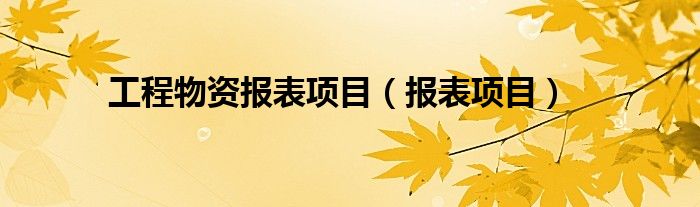 工程物资报表项目（报表项目）