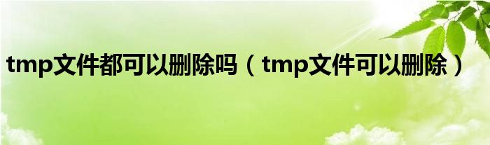 tmp文件都可以删除吗（tmp文件可以删除）