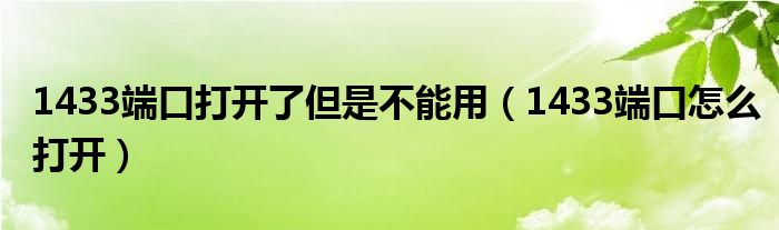 1433端口打开了但是不能用（1433端口怎么打开）