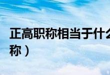 正高职称相当于什么级别（副研究员是什么职称）