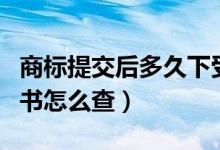 商标提交后多久下受理通知书(商标受理通知书怎么查)