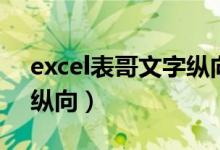 excel表哥文字纵向怎么调（excel表格文字纵向）
